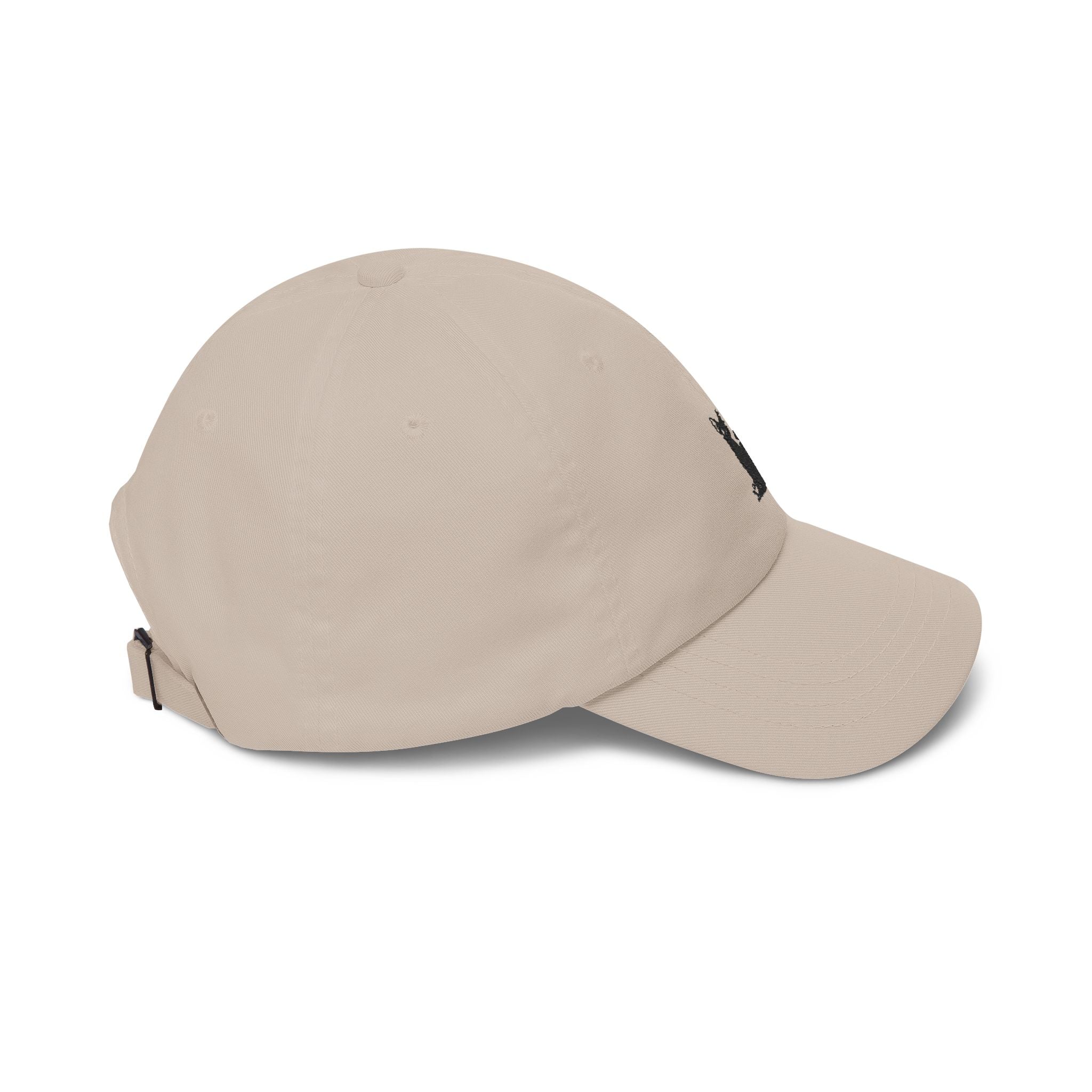 Abyssinian Cat Dad Hat – Embroidered Cat Cap | Abyssinian Cat Lover Gift